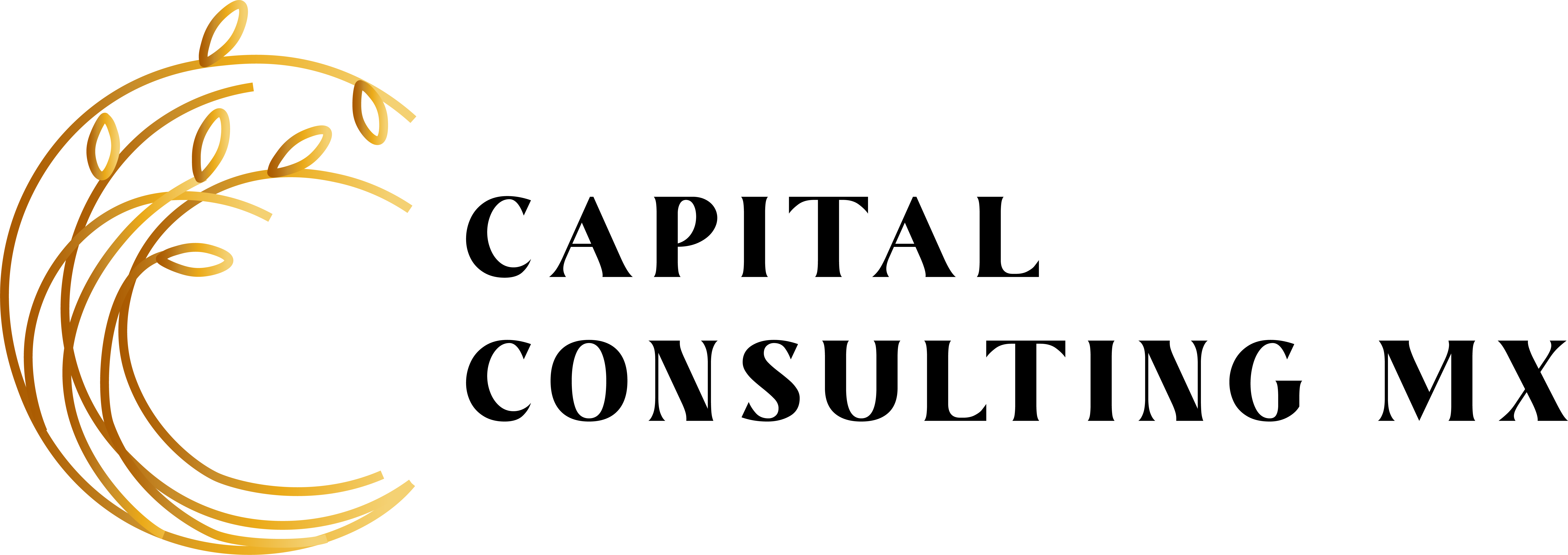 Capital Consulting MX